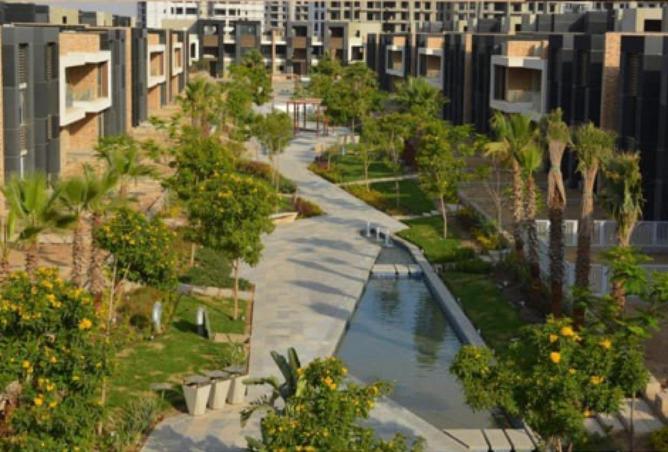 62406237 - صورة العقار 3