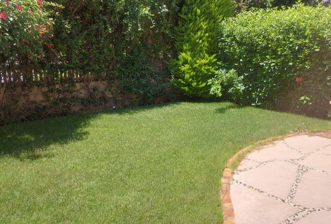 54241290 - Property Image 3