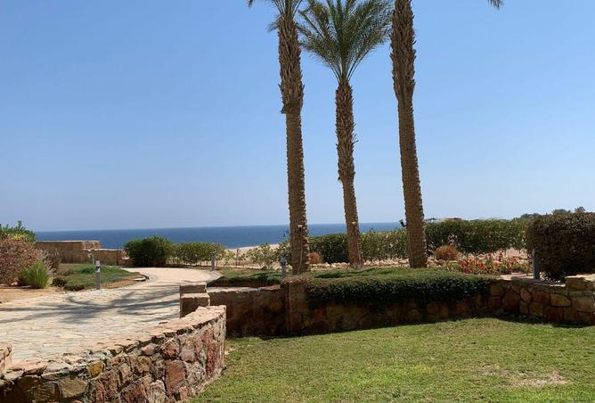 67993335 - صورة العقار 3