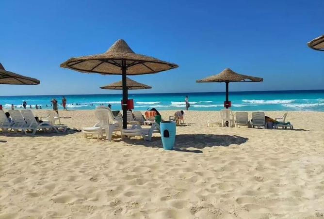 51172065 - صورة العقار 2