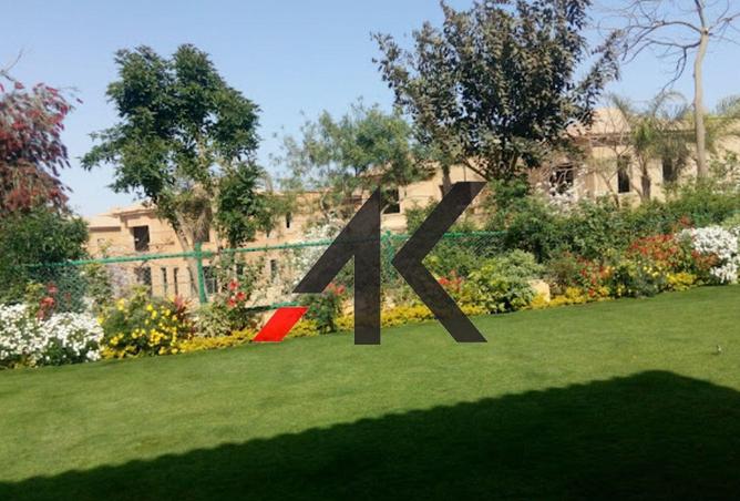 61679037 - صورة العقار 3