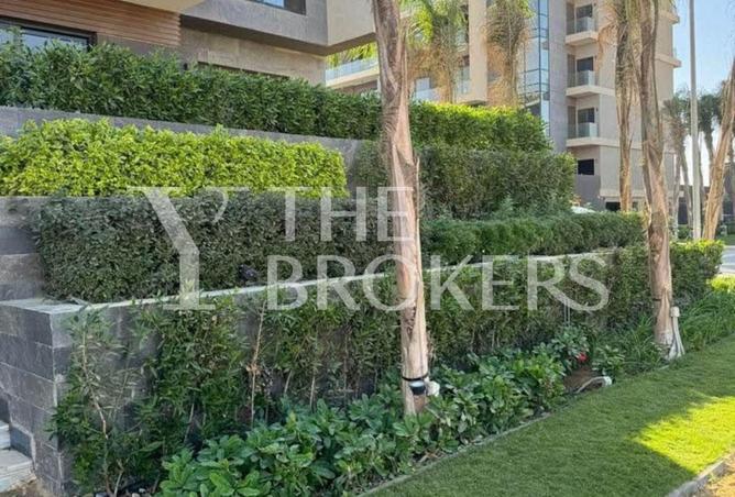 52184816 - صورة العقار 3