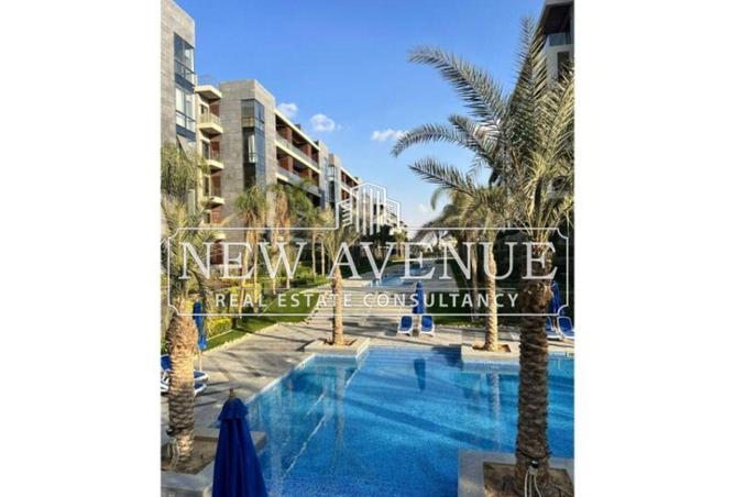 8715998 - Property Image 2