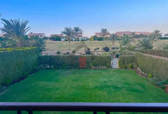 113247467 - صورة العقار 2