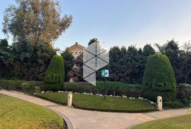 54238611 - صورة العقار 2