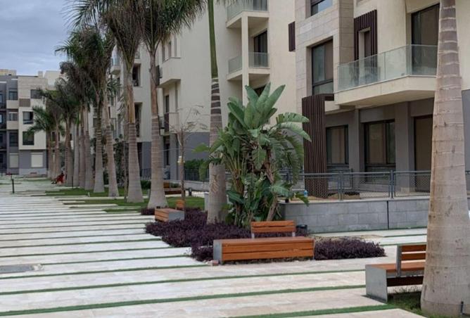 8555114 - Property Image 2