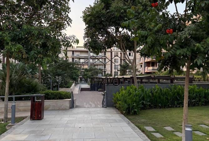 53223332 - صورة العقار 2