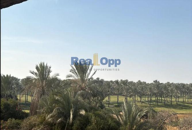 52451475 - Property Main Image