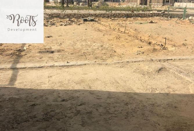 54495816 - صورة العقار 3