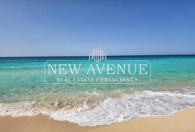 8694142 - Property Image 3