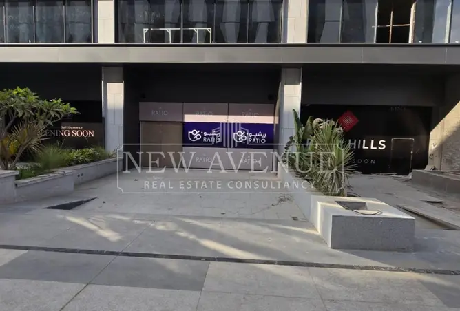 113252459 - Property Image 3