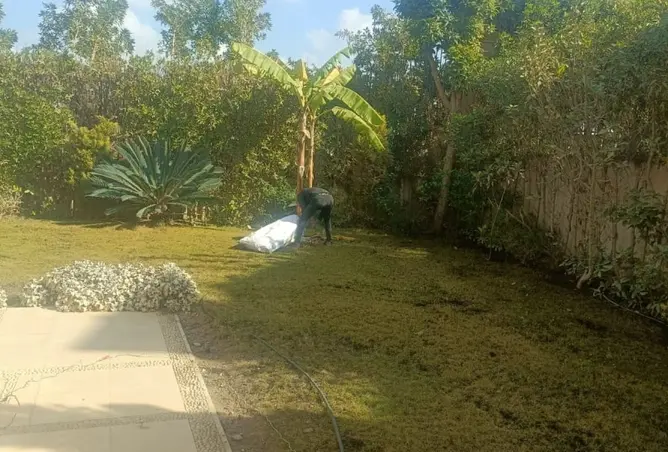 117537060 - Property Image 3