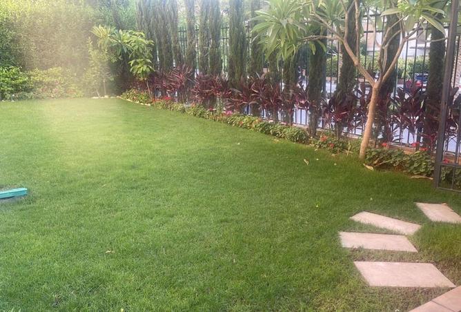 59247448 - Property Image 3