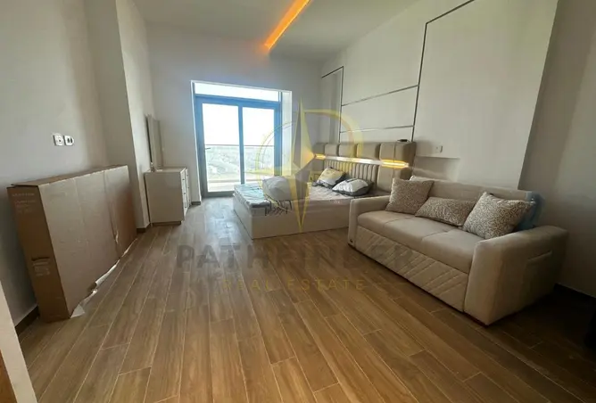 116761622 - Property Image 2