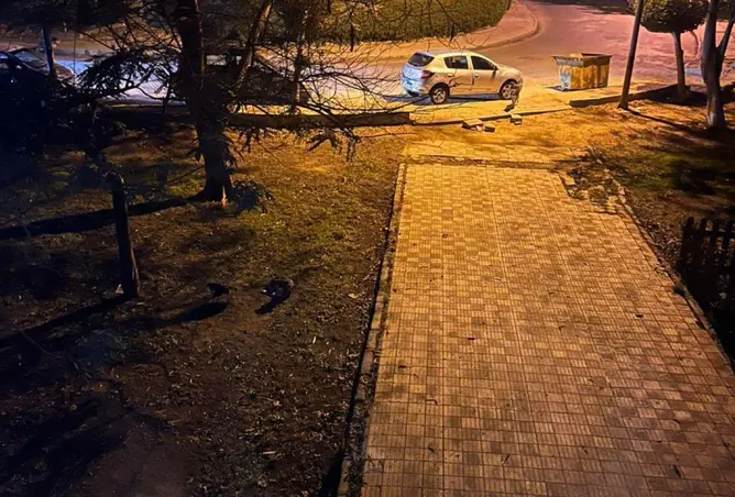 87520879 - صورة العقار 2