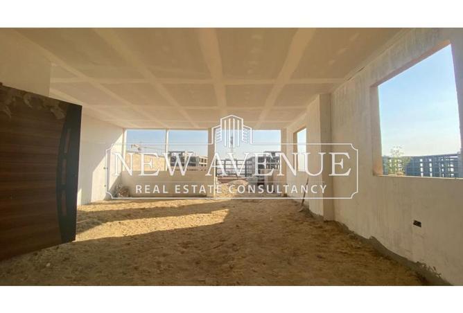 65154134 - الصورة الرئيسية للعقار