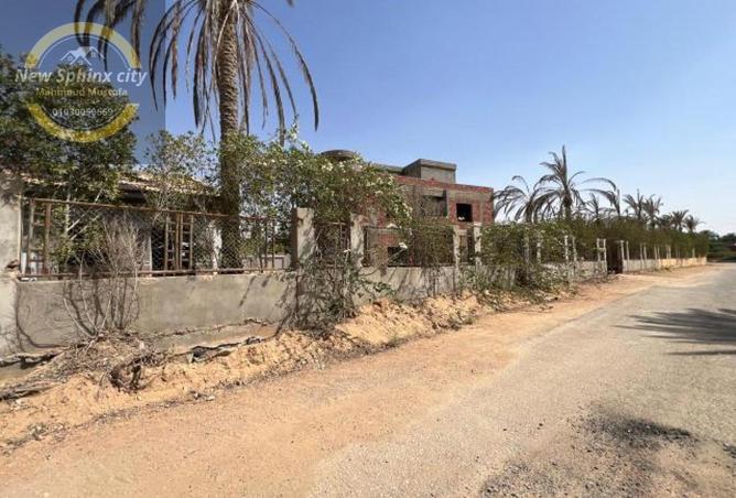 81321356 - صورة العقار 3