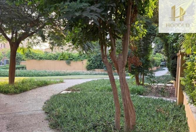 57238698 - Property Image 2