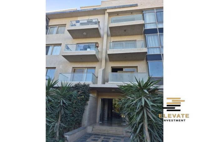 8629942 - Property Image 3