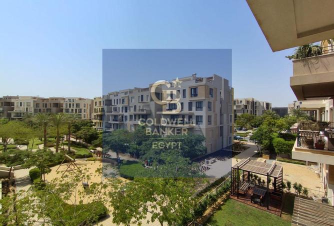 58242889 - Property Image 3