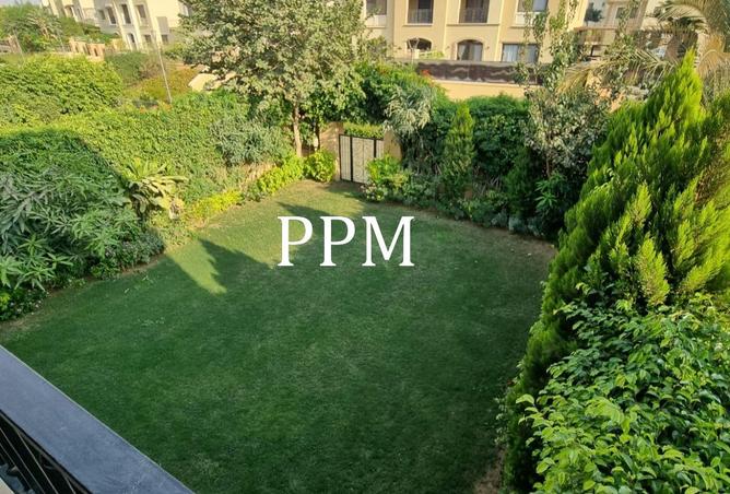 64140771 - Property Image 3