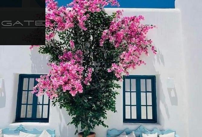 70365415 - Property Image 2