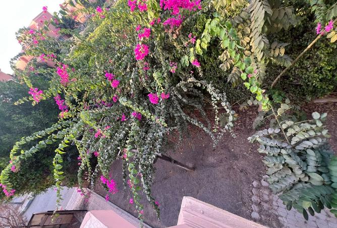 8407409 - الصورة الرئيسية للعقار