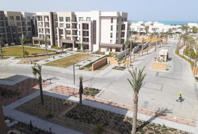 70372501 - صورة العقار 3