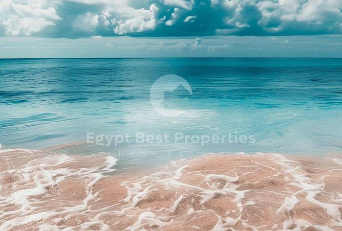 91297751 - صورة العقار 2