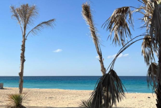 8565212 - صورة العقار 3