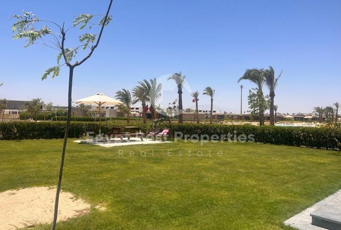 91008365 - صورة العقار 3