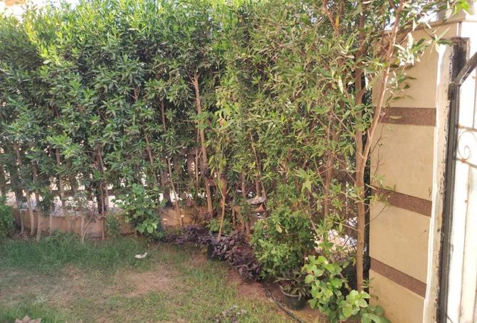 59251907 - صورة العقار 3