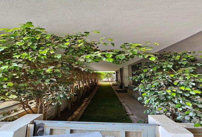 59745093 - صورة العقار 2