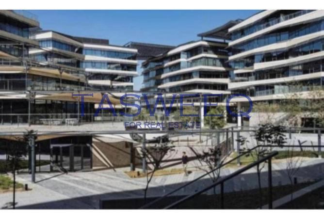 55499538 - Property Image 3