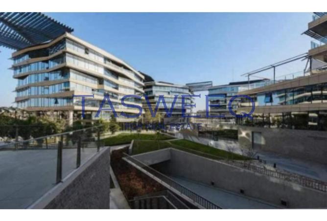 55499538 - Property Image 2