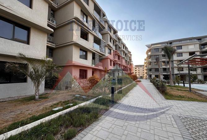 96851724 - Property Image 2