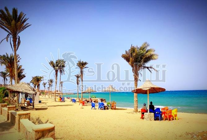 63397151 - صورة العقار 2