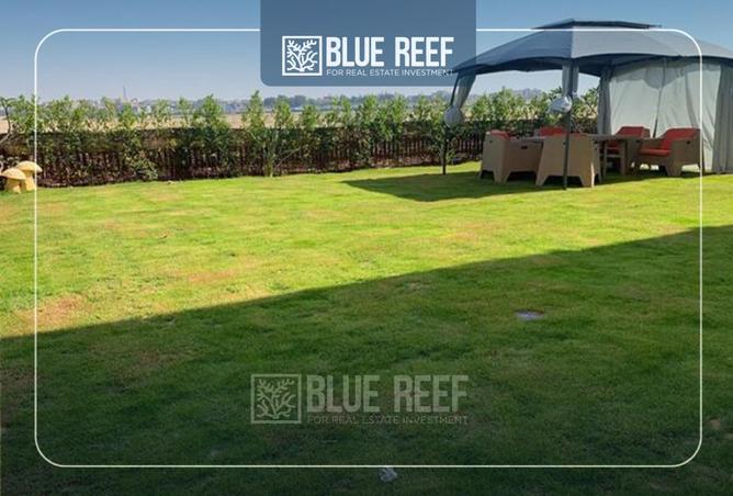 66957477 - Property Image 2