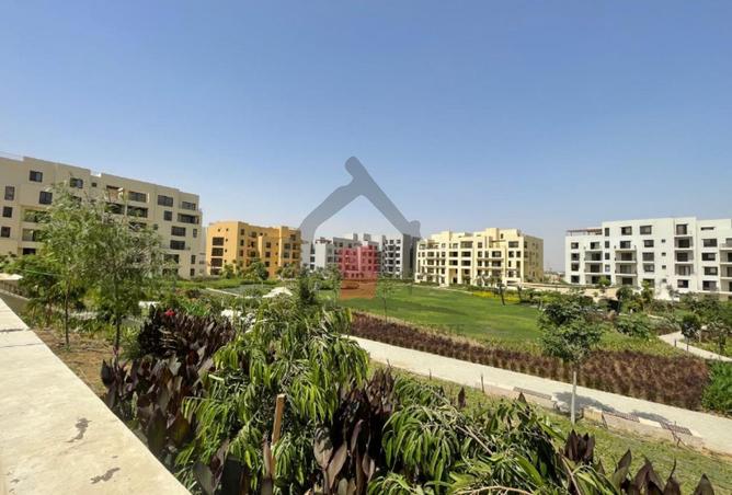 70626182 - الصورة الرئيسية للعقار