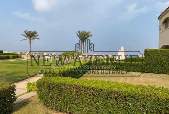 113545807 - صورة العقار 3