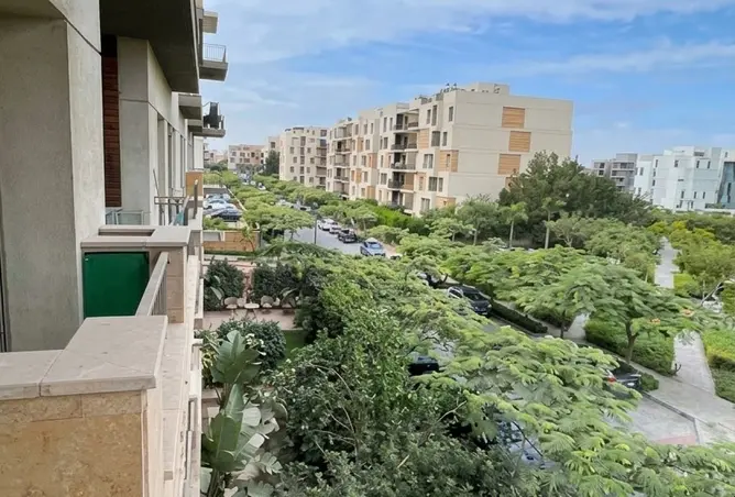 120876677 - Property Image 3