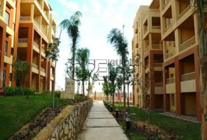 113537571 - صورة العقار 2
