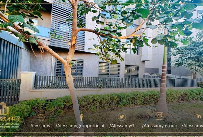 8244171 - صورة العقار 3