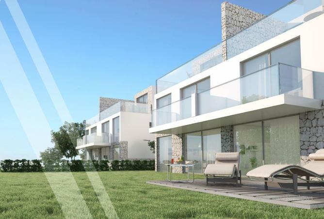 97438141 - Property Image 2