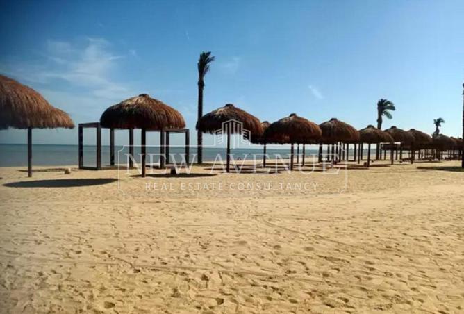 105746474 - صورة العقار 3