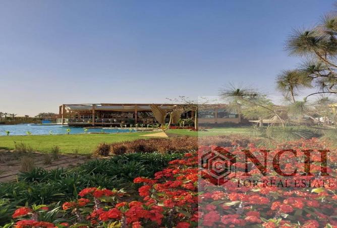 8676168 - صورة العقار 3