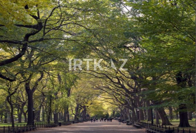 8718586 - صورة العقار 2