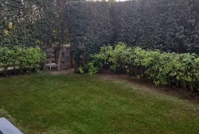 120874306 - Property Image 3