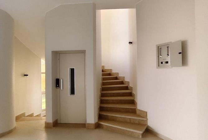 67995130 - Property Image 3