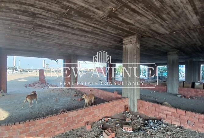 62164391 - Property Image 3